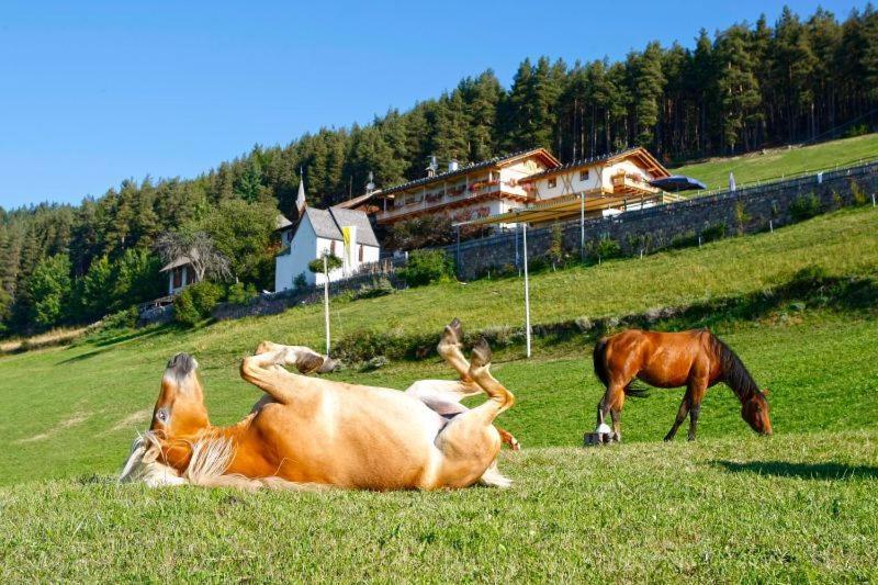 Gasthaus Bad Siess Longostagno Buitenkant foto