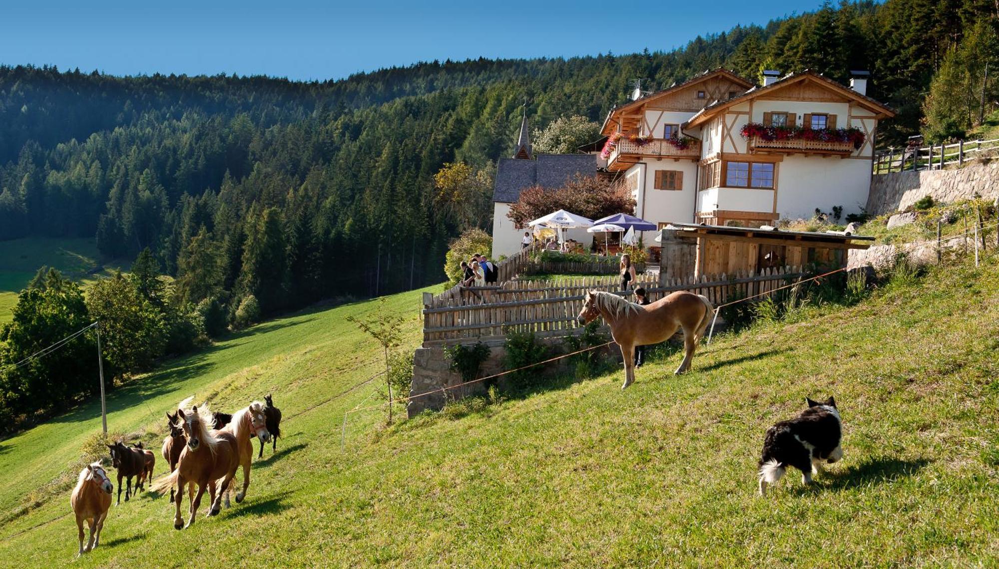 Gasthaus Bad Siess Longostagno Buitenkant foto